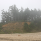 Illustration for article titled Oregon photodump (plenty o Toby)